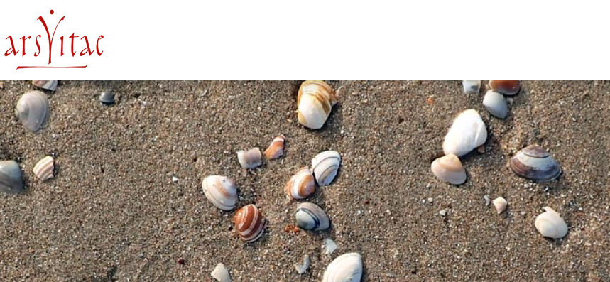 Ars Vitae Kontemplation